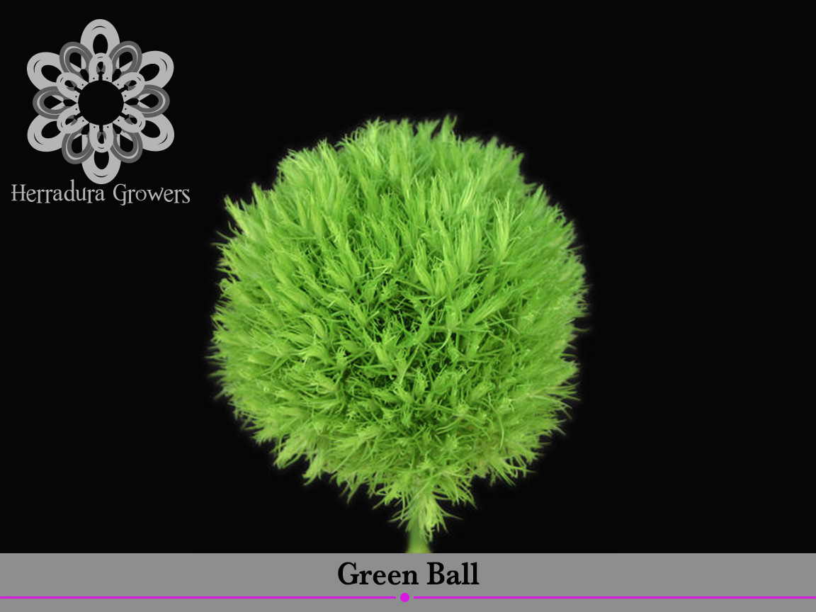 Green Ball.jpg